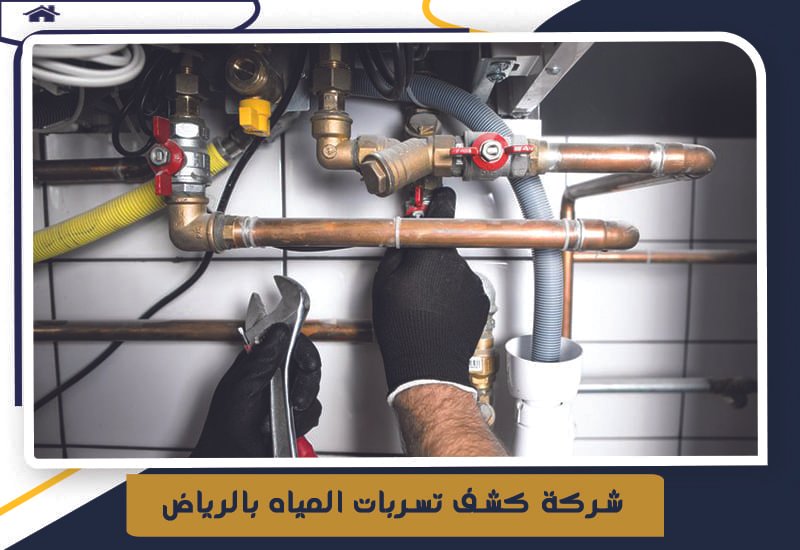 كشف تسربات الروضة